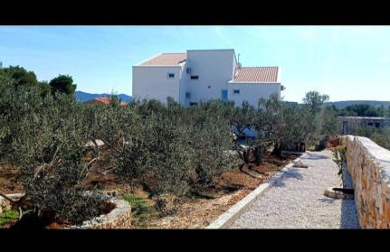 Apartmani AS - Foto 43