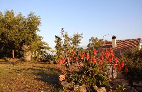 Agriturismo Chiai Francesco - Foto 5