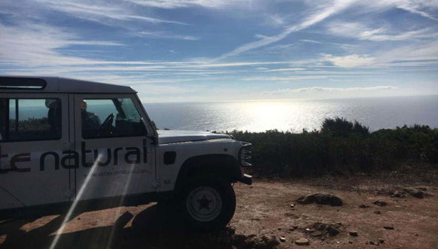 Desfrutando das vistas