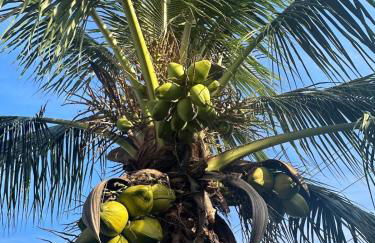 Coconut Trail Resort Unit - Foto 10