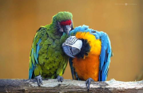 Cotobro Rental House - Foto 37