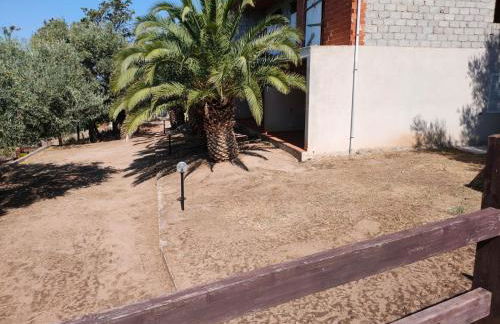 Villa del Palmeto - Foto 15