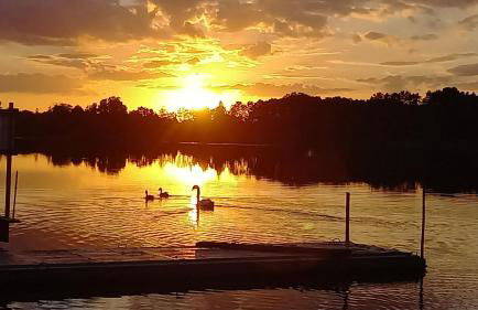 Ferienhaus Rose & Lavendel - Foto 16