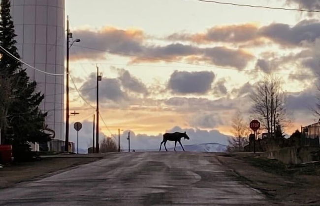 5th Street Hideout - Foto 9