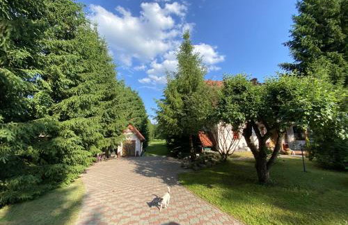 Sielanka Kretowiny - Foto 18