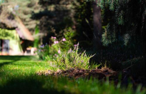 Leśna Strzecha - Foto 31