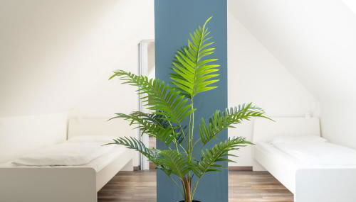 XXL Superior Apartment 1 - 1 bis 10 Personen - Foto 3