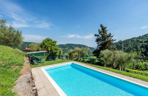 Fattoria di Pietrabuona - Foto 8