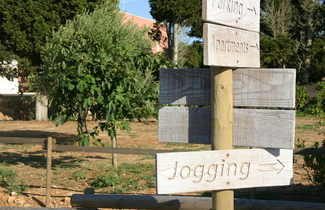 Tenuta Vigna Corallo - Foto 58