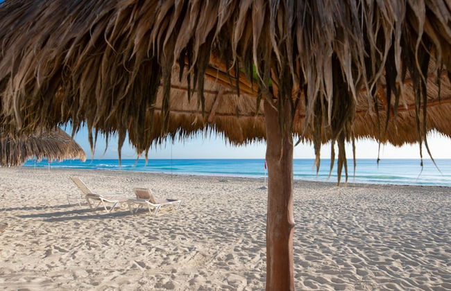 Beachfront Penthouses at Brisas by The Spot - Photo 57