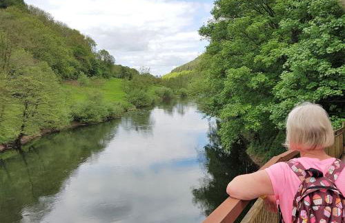 Foxes Reach - nrTintern Wye Valley hot tub EV - Foto 50