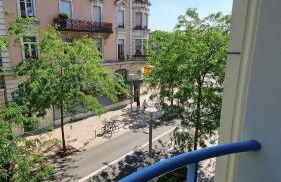 La perle du Lion - Foto 33