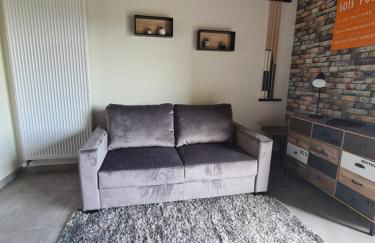 Gîte La Dortière s'Amuse, magnifique maison de maître 12min du Puy du Fo - Photo 17