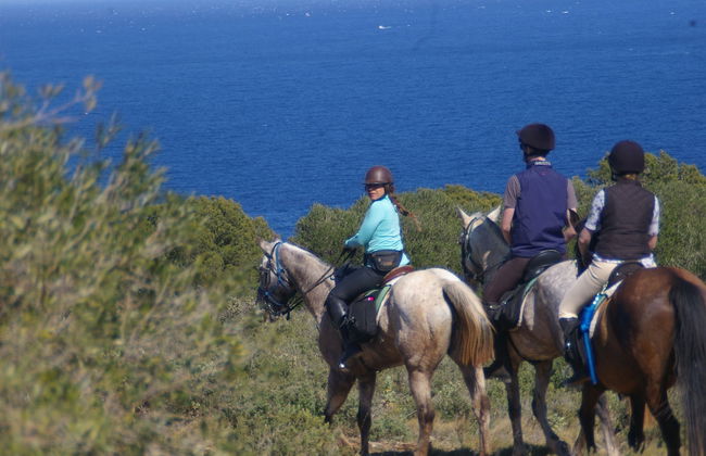 Can Barnosell - Els Masos d'en Coll - Foto 50