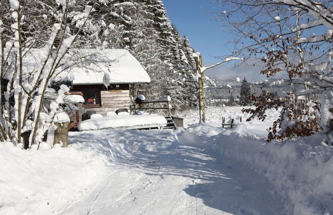 Cozy Forest Chalet Escape - Photo 23