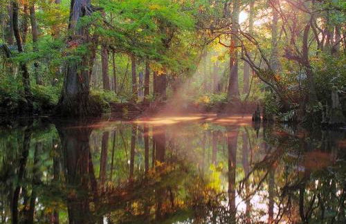 Upcycled Shipping Containers Transformed into a Glamping Home for a Unique Florida Vacation - Foto 48