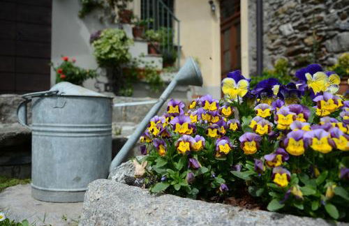 Casa Dolce Casa - Foto 46