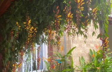 Refúgio Vila da Glória - Photo 20