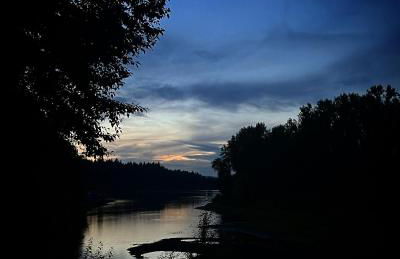 Blue Heron Sanctuary & Serene, river-front cottage - Foto 30