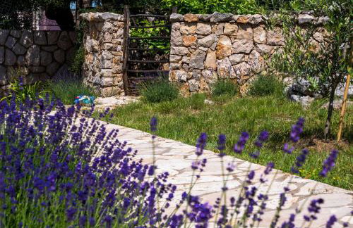 Apartmani Maslina - Photo 4