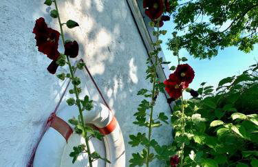 Ferienhaus Norddeichkieker -Nähe Büsum - Foto 31