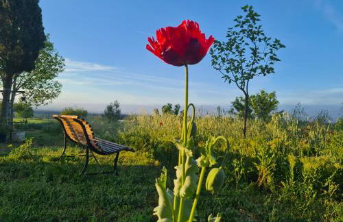 La Ferme Constantin - Foto 19