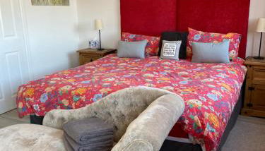 Triumph Norton close to NEC - Foto 2