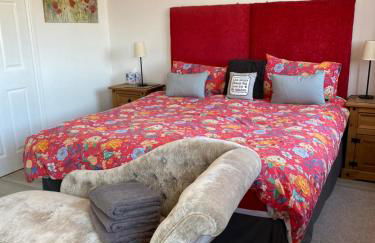 Triumph Norton close to NEC - Foto 2