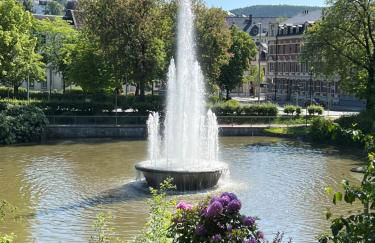 Goethe Palais Suite Anna Amalia l 1-8P l Lift l Parkplatz - Photo 37