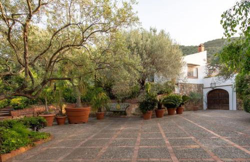 Villa Grimodi - Foto 33