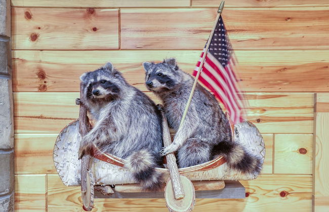 Beside Still Water 1 - 2 Bedrooms, 2 Baths, Sleeps 6 Home by RedAwning - Photo 33