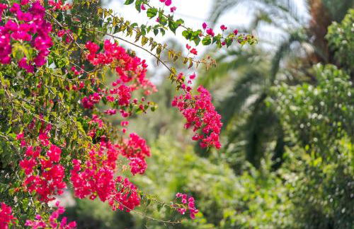 Comporta Hideaway Amazing Views Desert Beaches - Foto 23