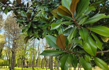 -Parking privé -La BATISSE -Coeur historique - La Clef de Honfleur - Foto 46