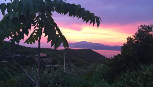 Casina Innamorata tra Natura e Mare - Elba Affitti - Foto 2