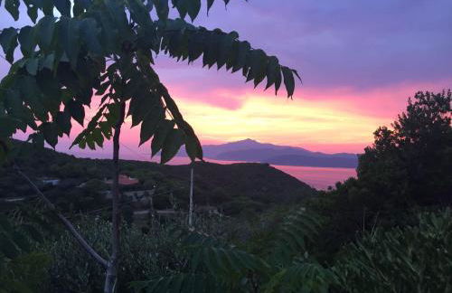 Casina Innamorata tra Natura e Mare - Elba Affitti - Foto 2
