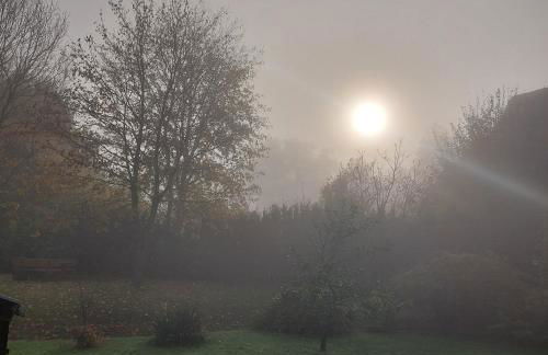 Klosterblick - Foto 38