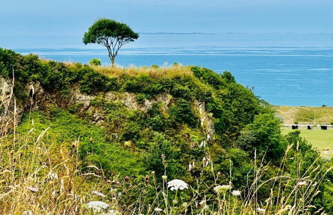 House in Buisson With Provencal Charm - Foto 28