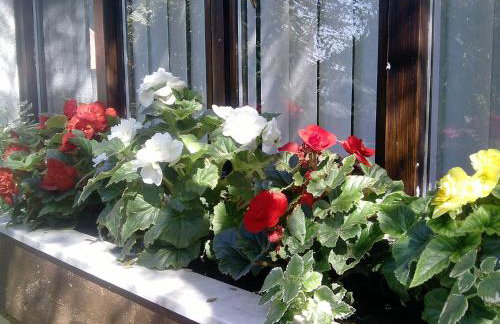 Apartments Barbara - Photo 64