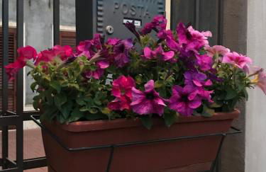 Il Borghetto di San Giuseppe EtnaRooms&Apartments - Foto 15