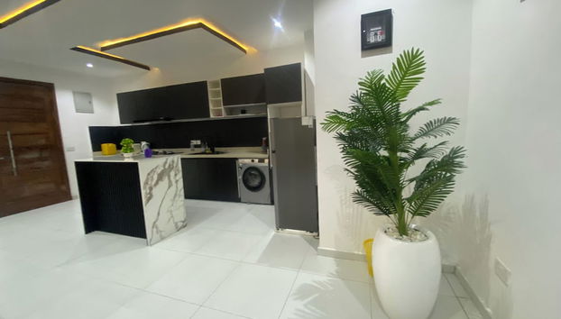 Luxury 2 bed Service Apartment at Ikate - Foto 5, Cocina privada