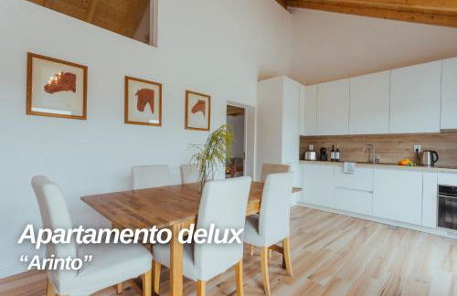 Alojamentos Plansel - No Coração das Vinhas do Alentejo - Foto 5