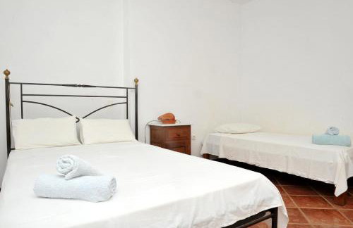 Hydra Erato - Foto 69