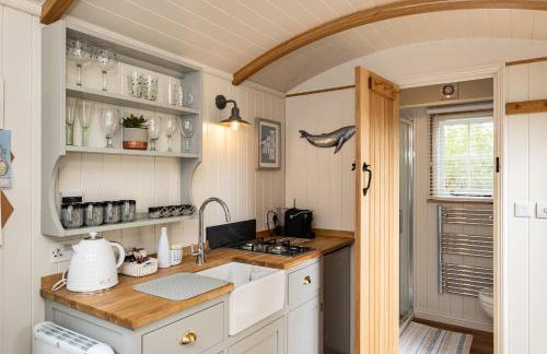 Trevone Luxury Shepherds hut close to the beach - Foto 14