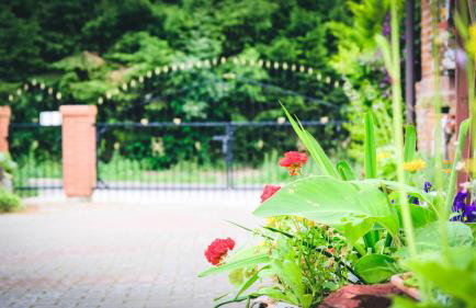 Chata na końcu świata - Foto 14