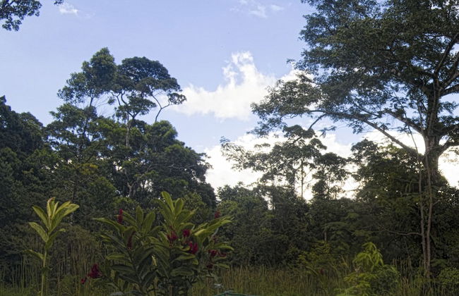 Oski Lodge - Foto 33