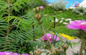 Apartment Gina - Photo 52