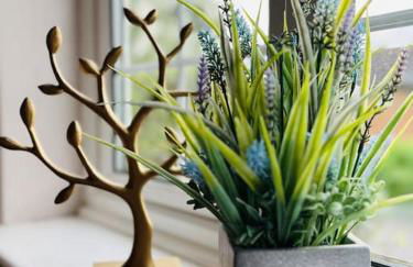 The Lake House, Woking - Photo 22