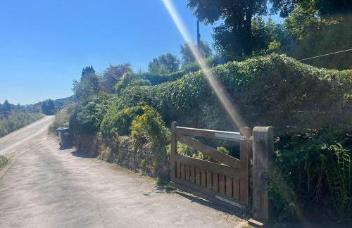 Dukes Well - Photo 40