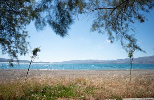 Polichnitos Paradise Stay - Photo 46