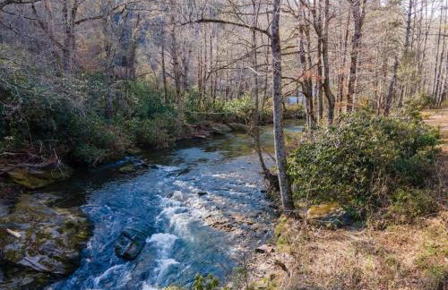 Pisgah Private Retreat Family Getaway with Hot Tub - Foto 41